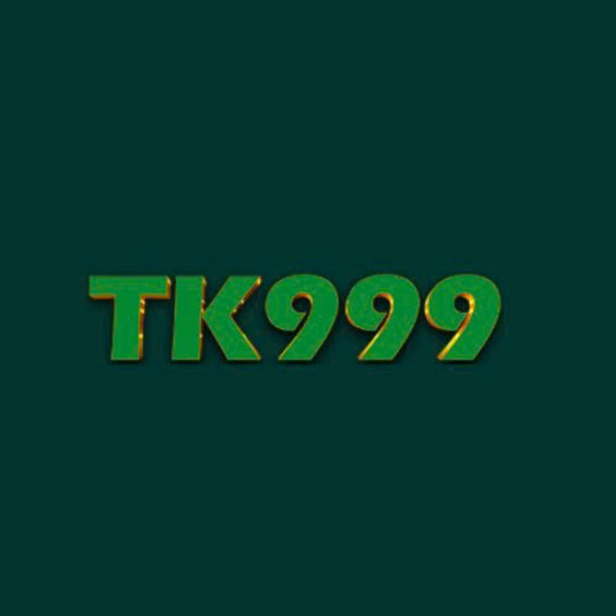 bdtk999login.com Logo